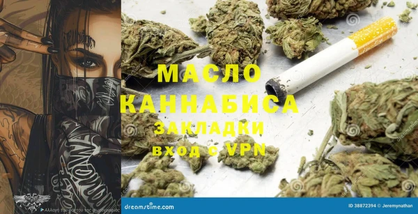 хмурый Няндома