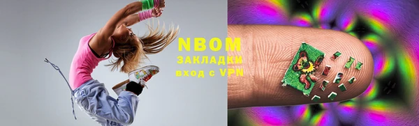 хмурый Няндома