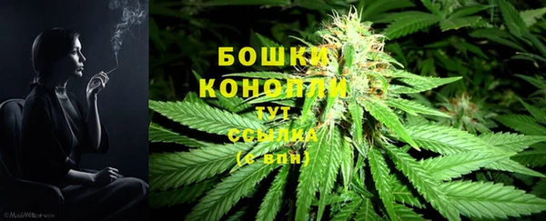 мет Аркадак