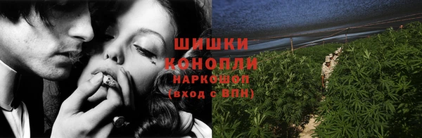 хмурый Няндома